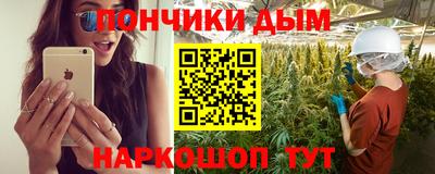 индика Кулебаки