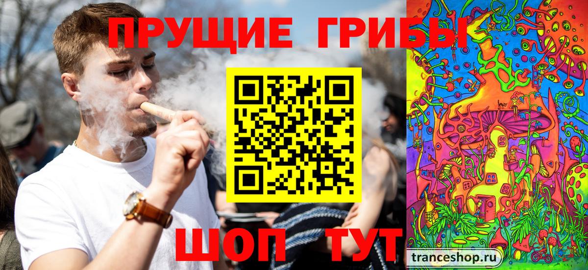 Галлюциногенные грибы Psilocybe Тобольск