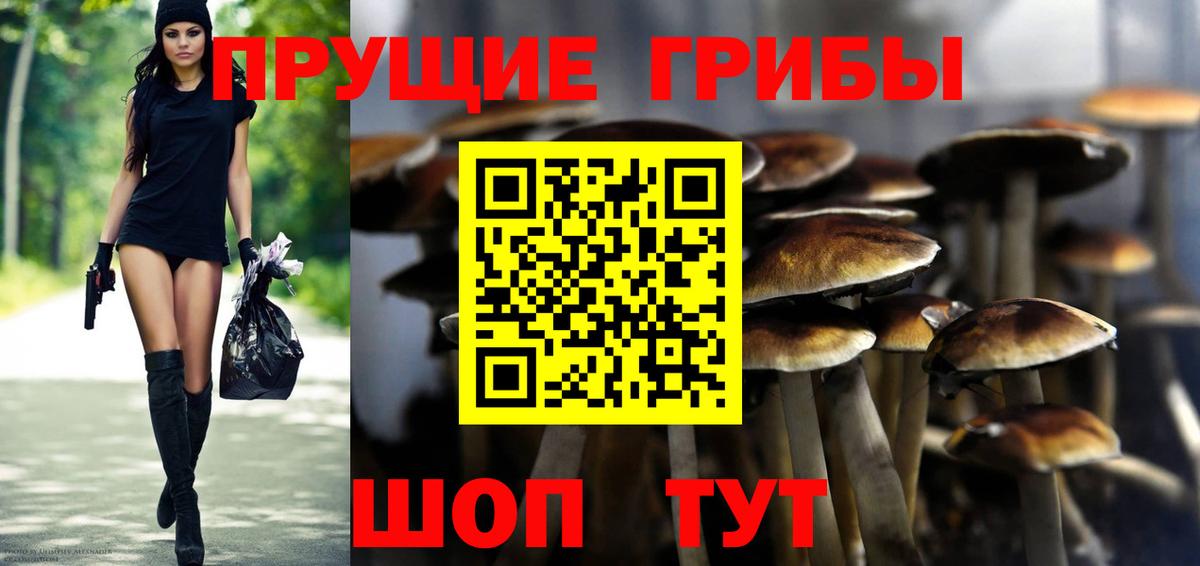 Тобольск  Галлюциногенные грибы Magic Shrooms  наркота  Галлюциногенные грибы MAGIC MUSHROOMS  Вход с VPN 